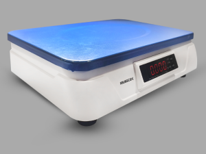 C1 PC POS Scale